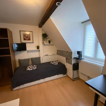 Close To Strasbourg Center Free Parking We Διαμέρισμα *